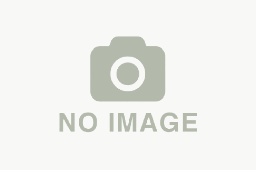 Meta!Live Stock ホームページ公開のお知らせ